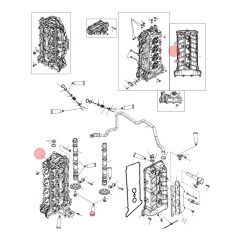 Cylinder Head and Camshaft