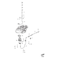 Fuel Supply System-Hoses and Module