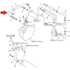 Yanmar - Water Hose 6LP - 119779-49580