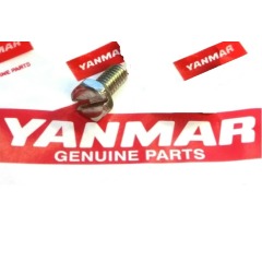 YANMAR Cover Plate Screw - 3YM30 3GM30-YEU - 128990-42520