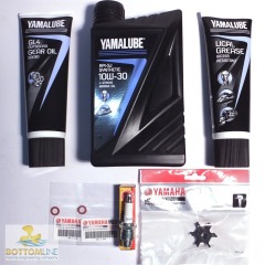 Special Yamaha F2.5A 4-Stroke Outboard Service Kit, filter but no impeller