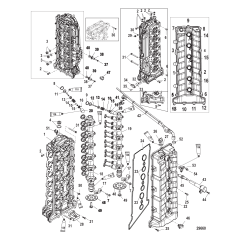Cylinder Head and Camshaft