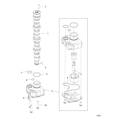 Camshaft and Oil Pump