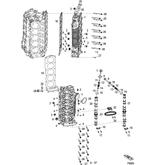 Cylinder Head and Camshaft