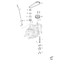 Camshaft and Oil Pump