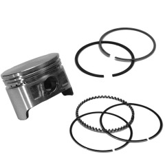 Mercury - Piston and Rings Assembly - Quicksilver - 713-898103A46