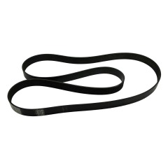 BARRUS - 2031PK8 DRIVE BELT SHIRE 06 85 - RDG0047272
